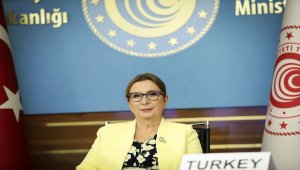 Ticaret Bakanı Pekcan OECD toplantısında konuştu: