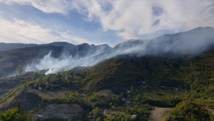 Trabzon'da ormanlık alana sıçrayan yangına müdahale ediliyor