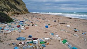 TÜDAV, 24. Dünya Karadeniz Günü dolayısıyla konferans düzenleyecek
