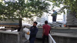 Tunceli'de üreticilere sertifikalı yem bitkisi tohumu dağıtıldı