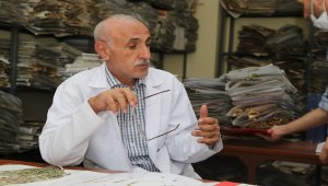 Türkiye'de izine ender rastlanılan bitki türü Bingöl'de bulundu