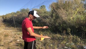 Türkiye'deki kuş türlerinin yüzde 62'si "Doğu'nun kuş cenneti"nde yaşıyor