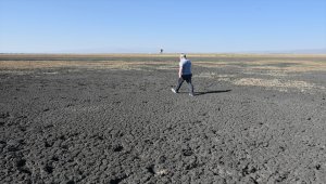 Türkiye'nin 13. Ramsar Alanı Kuyucuk Gölü tekrar kurudu