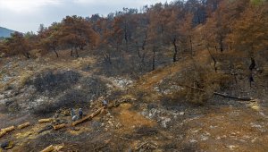 Yanan orman alanlarında yeşile yolculuk başladı
