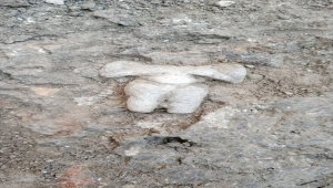 Yeşilova Höyüğü'nde 8 bin 200 yıllık mermer ana tanrıça heykelciği bulundu