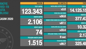 1 Kasım 2020 Türkiye Günlük Koronavirüs tablosu: 74 can kaybı
