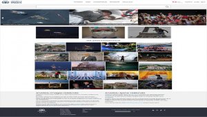 AA "Anadolu Images"in içeriği 10 milyona yaklaştı