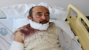 Aksaray'da köpeğin saldırısına uğrayan kişi hastaneye kaldırıldı