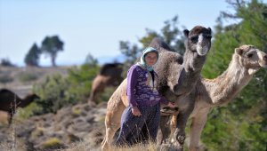Anadolu'nun bin yıllık konargöçerlik kültürünü Sarıkeçili Yörükleri sürdürüyor