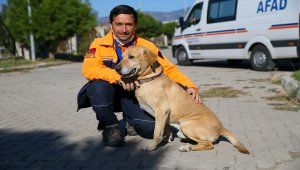 Arama kurtarmanın gizli kahramanları: "Keskin burunlar"