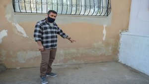 Aydın'da bir evin girişini saran çok sayıda karınca ilginç görüntü oluşturdu
