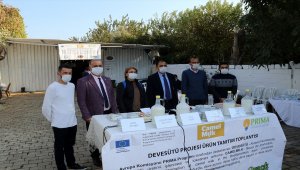 Aydın'da deve sütünden peynir, yoğurt ve ayran yapıldı 