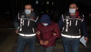 Aydın'da ormanlık alanda Hint keneviri yetiştirdiği iddia edilen kişi tutuklandı