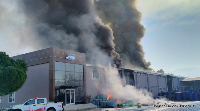 Balıkesir'de turşu fabrikasında yangın çıktı