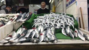 Batı Karadeniz'de balığın azalması fiyatları artırdı