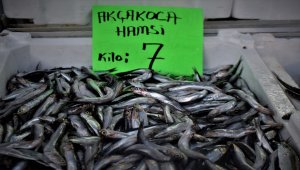 Batı Karadeniz'de kilosu 7 liraya düşen hamsiye büyük ilgi