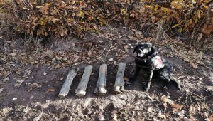 Bitlis'te PKK'lı teröristlerce toprağa gizlenen 4 lav silahı bulundu