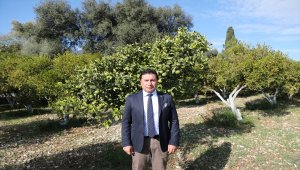 Bodrum'da hedef "turizm çeşitliliğiyle 2,5 milyon yabancı turist"