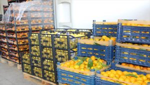 Bursa'da karantinadakilere "vitamin destek paketi"