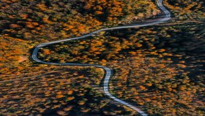 Çam Dağı güz renkleriyle görsel şölen sunuyor