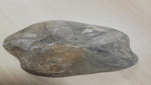 Çanakkale'de 2 deniz canlısı fosili ele geçirildi