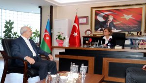 CHP Genel Başkanı Kılıçdaroğlu safran hasadı yaptı