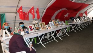 Diyarbakır'daki evlat nöbeti 452. gününde