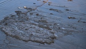 Doğu'da soğuk hava nedeniyle dereler ile araç ve evlerin camları buz tuttu