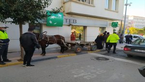 Edirne'de at arabasını kaldırıma bırakan kişiye para cezası uygulandı