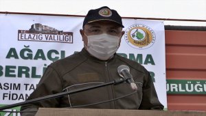 Elazığ'da bir ayda 223 bin fidan toprakla buluşturulacak