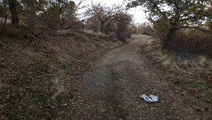 Elazığ'da bir işitme engellinin kazara ağabeyini ve 3 arkadaşını tüfekle vurduğu iddiası