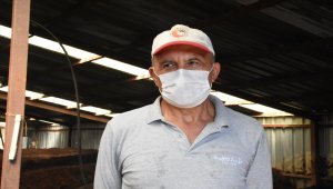 Emekli astsubay memleketine dönüp solucan gübresi üreticisi oldu