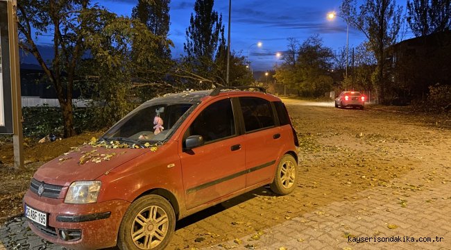 Erzurum'da kesilen ağacın üzerine devrildiği seyir halindeki otomobilde hasar oluştu
