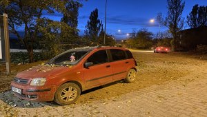 Erzurum'da kesilen ağacın üzerine devrildiği seyir halindeki otomobilde hasar oluştu