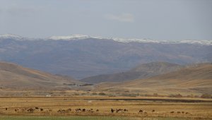 Erzurum ve Ağrı'nın yüksek kesimleri karla kaplandı