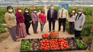"Ezo gelinler" Tarım Okulu ile hayata tutundu