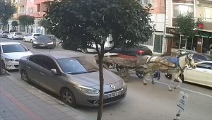 Gemlik'te trafikteki sürücüsüz at arabası ilginç görüntü oluşturdu