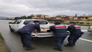 Giresun'da ayakları kırılmış köpeğe jandarma sahip çıktı