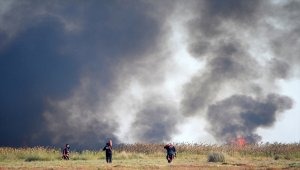 GÜNCELLEME - Mersin'deki Göksu Deltası'nda çıkan yangın kontrol altına alındı