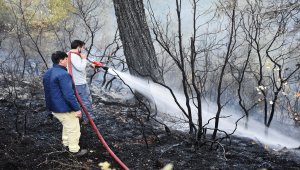 GÜNCELLEME - Muğla'da çıkan orman yangını söndürüldü