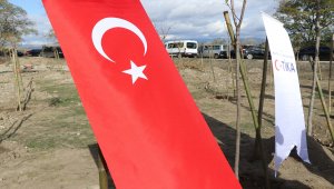 Gürcistan'da "Geleceğe Nefes, Dünyaya Nefes" kampanyası çerçevesinde fidan dikildi