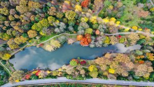 İstanbul'da sonbaharın renkleri Atatürk Arboretumu'nda