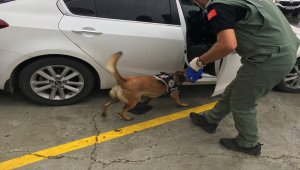 İstanbul'da uyuşturucu operasyonu