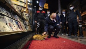 İstanbul'da "Yeditepe Huzur" asayiş uygulaması