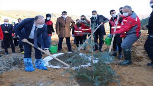 İzmir depreminde hayatını kaybedenlerin anısına 116 fidan dikildi