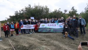 Kadına Yönelik Şiddete Karşı Uluslararası Mücadele Günü