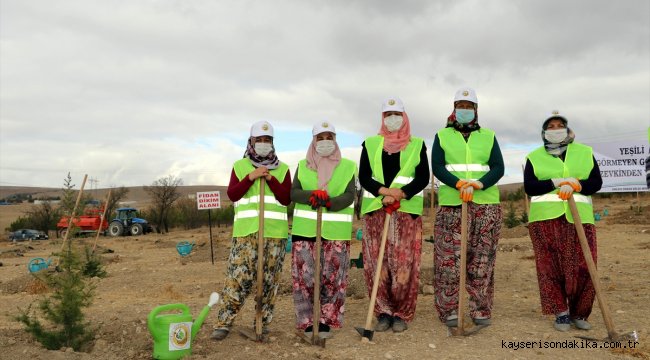 Karadeniz Bölgesi ve Çankırı'da "Milli Ağaçlandırma Günü" etkinliği düzenlendi