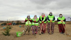 Karadeniz Bölgesi ve Çankırı'da "Milli Ağaçlandırma Günü" etkinliği düzenlendi