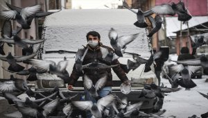 Kars'a mevsimin ilk karı yağdı