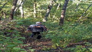 Kastamonu'da alzaymır hastası yaşlı kadından 17 gündür haber alınamıyor